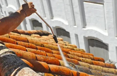 Nettoyage de toitures - Signy-Signets